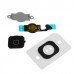 Замена кнопки HOME iPhone 5, 5S, 5C