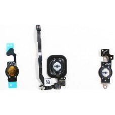 Замена кнопки HOME iPhone 5, 5S, 5C