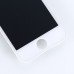 Замена LCD экрана, модуля iPhone 5S